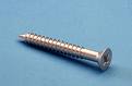 Stainless Phillip Head Tapcon